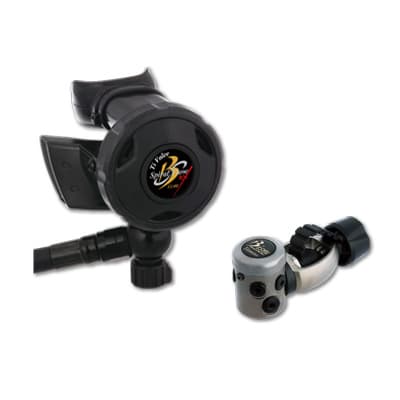 Bism BLACK NELEUS