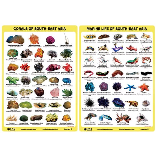 Fish ID Slates (Set of 2)
