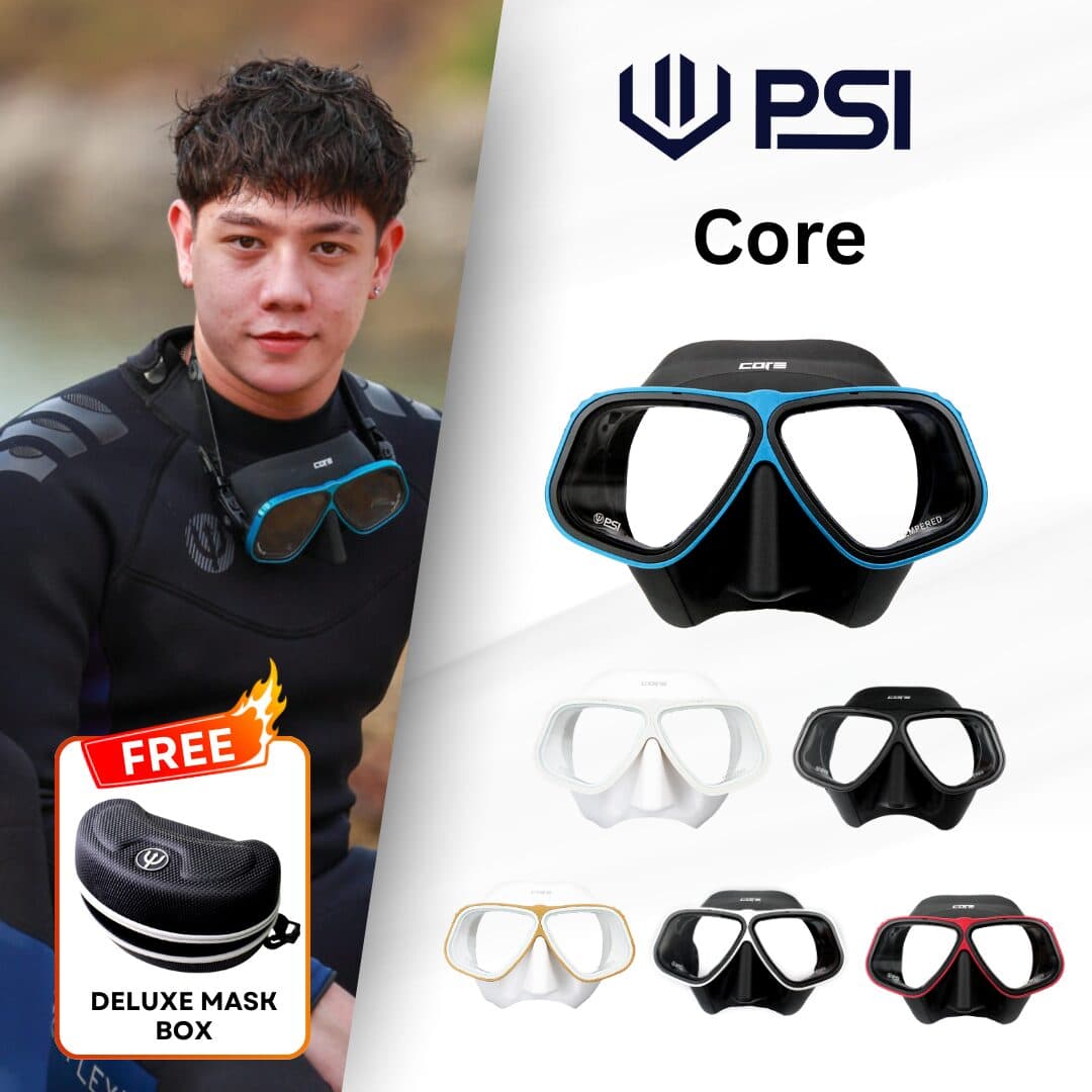 PSI Core Mask 1