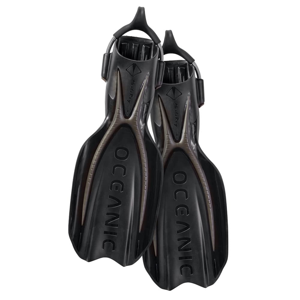 Oceanic Manta Ray Fins 5