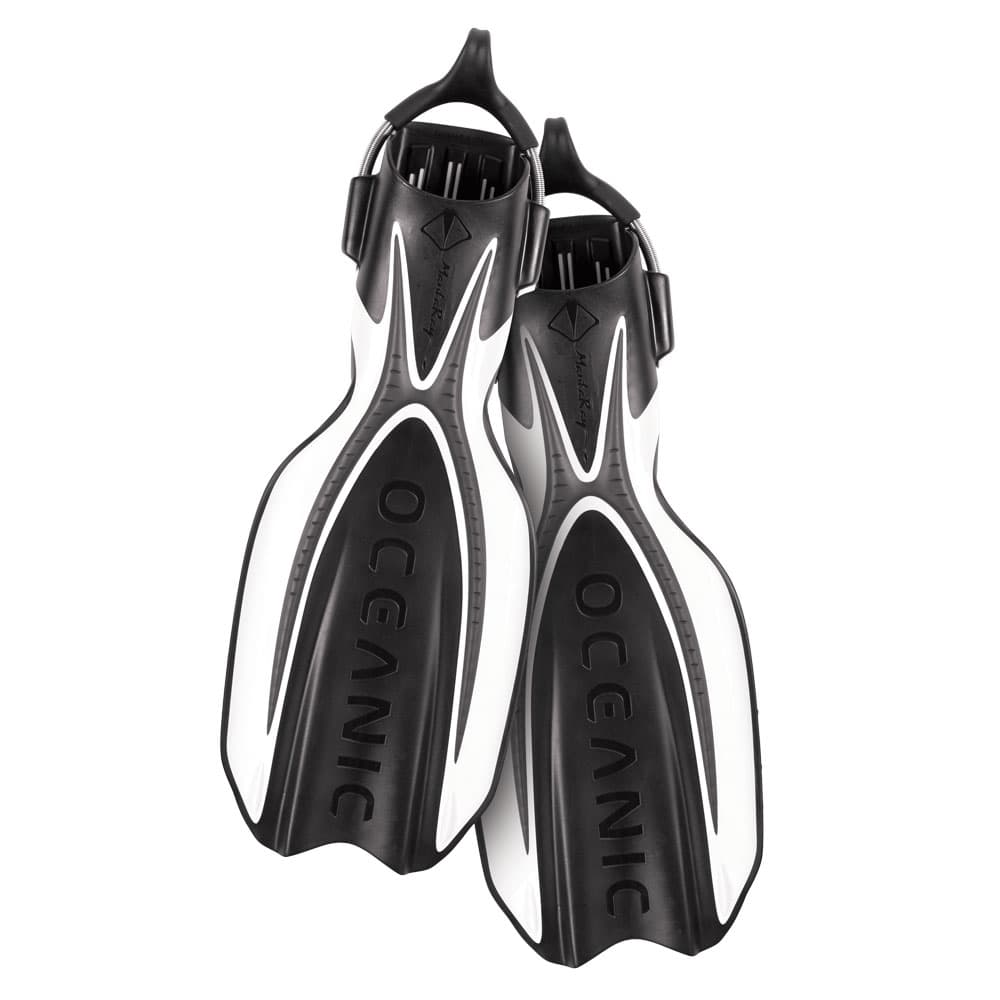 Oceanic Manta Ray Fins 3