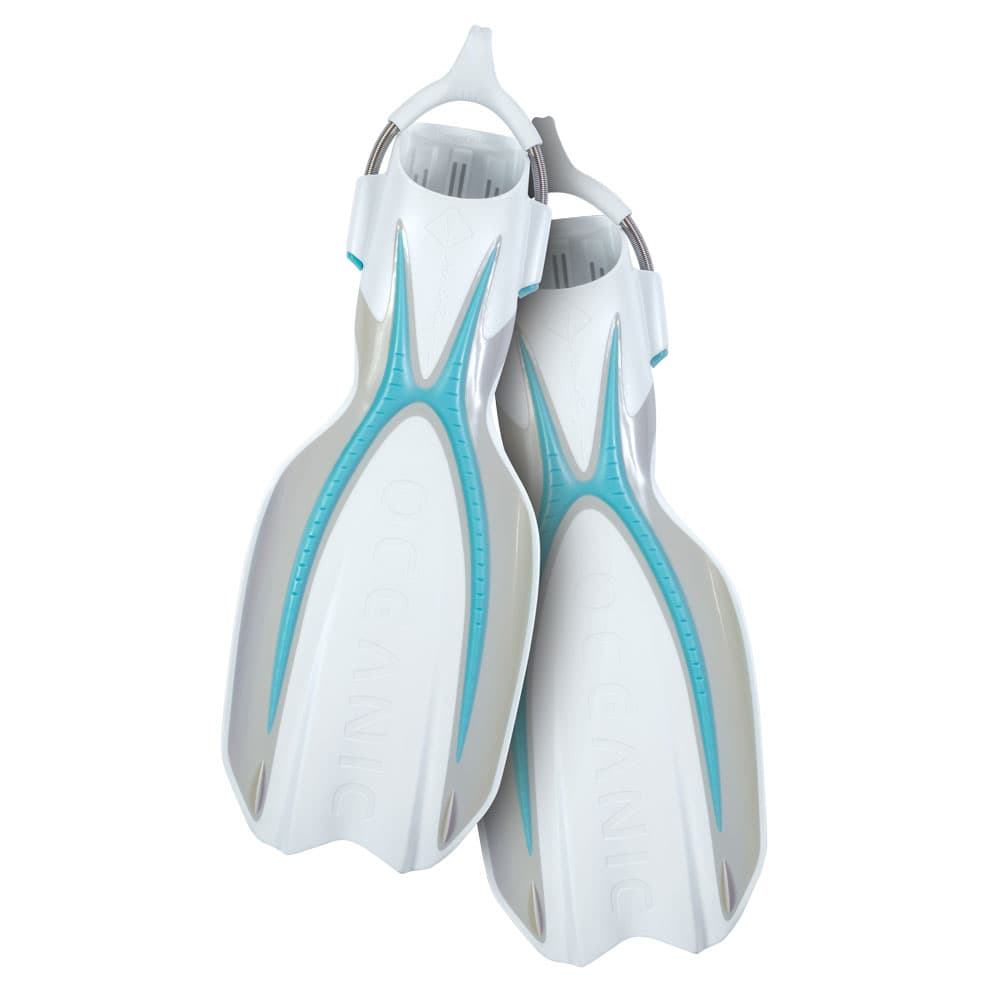 Oceanic Manta Ray Fins 2