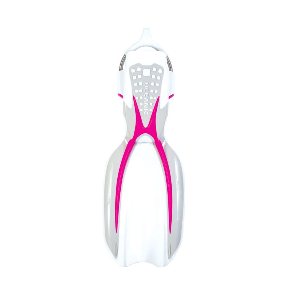 Oceanic Manta Ray Fins