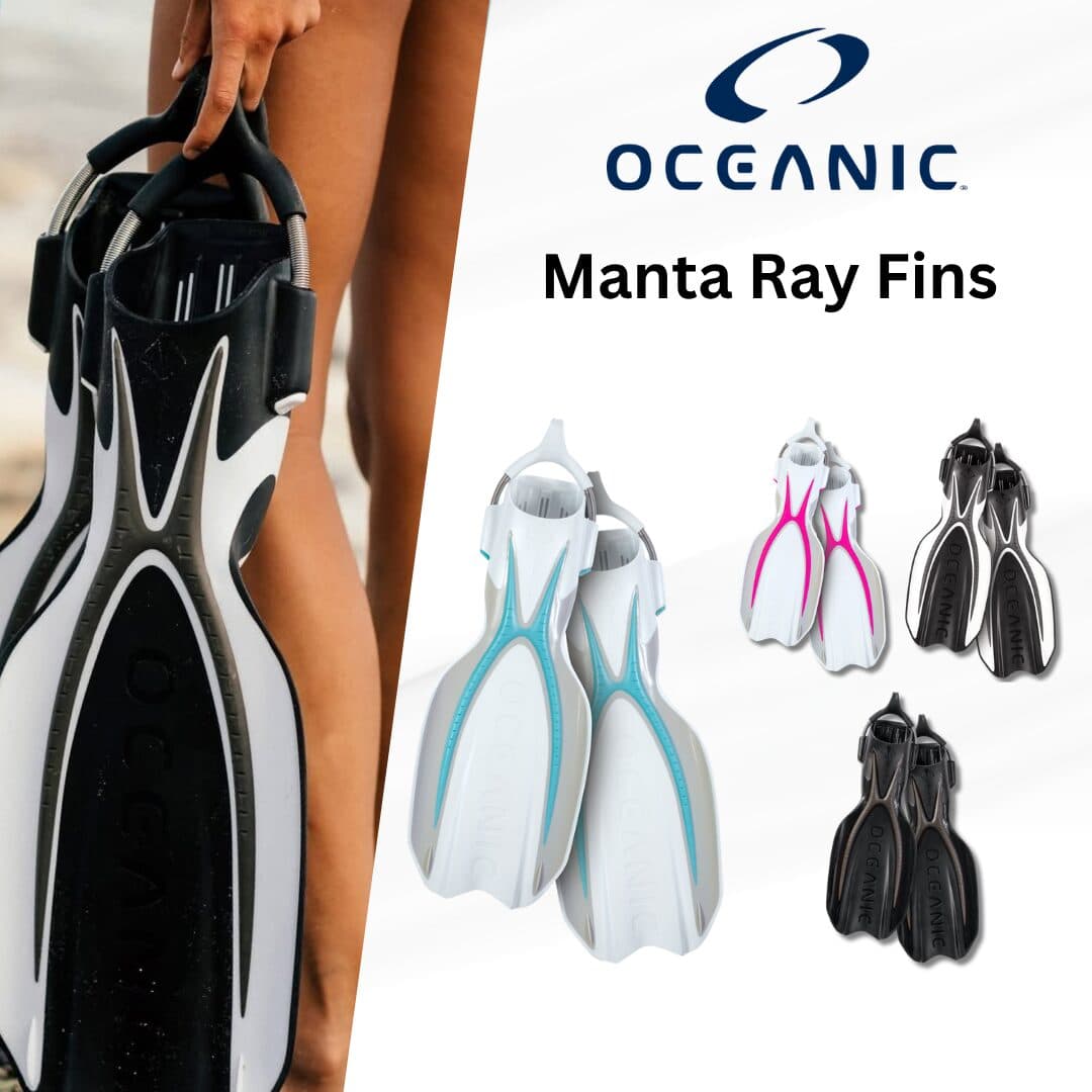 Oceanic Manta Ray Fins