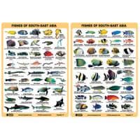 Fish ID Slates