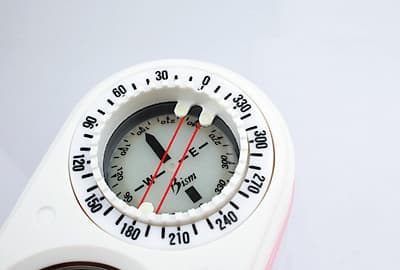 Bism BEANS GAUGE 4