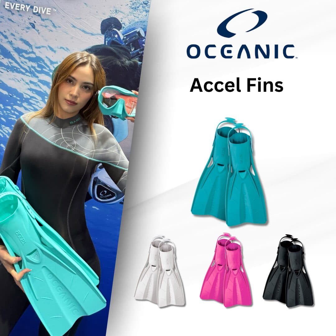 Oceanic Accel Fins