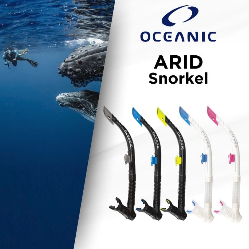 Oceanic ARID Snorkel