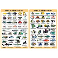 Fish ID Slates