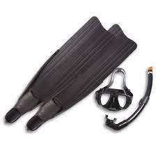 Eagle Ray Set