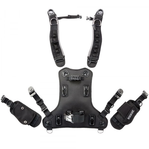 Aqualung Rogue BCD