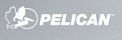 Pelican